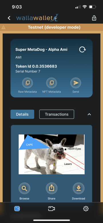 Ami testnet token with metadata buttons